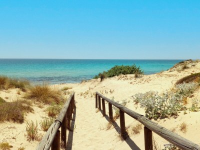 Villa Villa La Samia - Environment photo 35