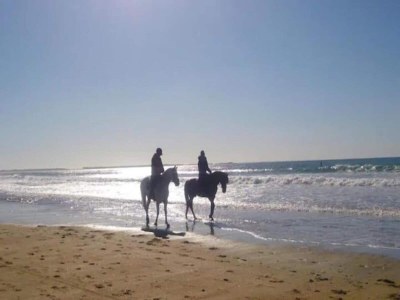Holiday park Castle Apartment near Breton - Environment photo 23