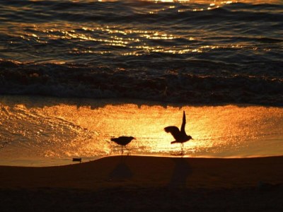 Holiday park Coast Apartment with Terrace - Environment photo 28