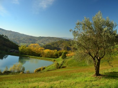 Farmhouse Peaceful farmhouse in Dicomano - Outdoor photo 2