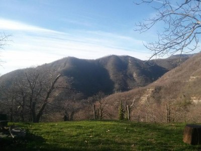 Farmhouse Peaceful farmhouse in Dicomano - Environment photo 16