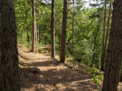 Farmhouse Peaceful farmhouse in Dicomano - Environment photo 19