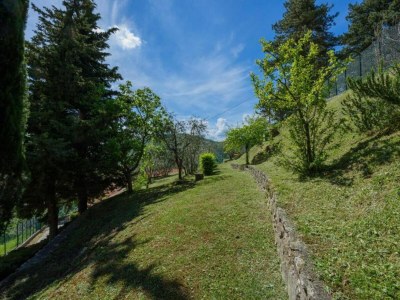 Farmhouse Peaceful farmhouse in Dicomano - Environment photo 33