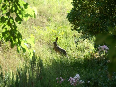 Farmhouse Peaceful farmhouse in Dicomano - Outdoor photo 35