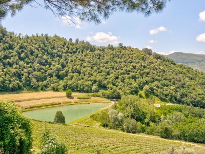 Holiday house Ansprechendes Haus mit Pool - Environment photo 36
