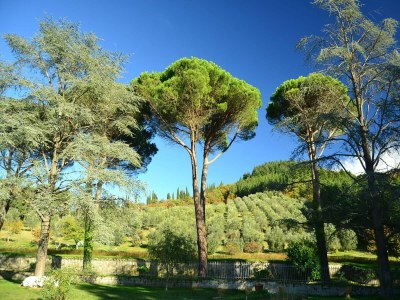 Holiday house Ferienhaus in Dicomano - Outdoor photo 6