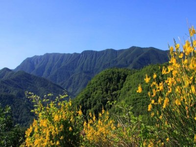 Holiday house Ferienhaus in Dicomano - Environment photo 21