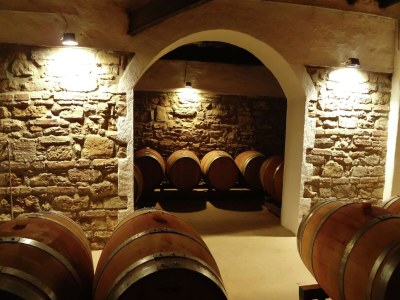 Holiday house Ferienhaus in Dicomano - Outdoor photo 38