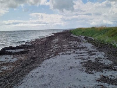 Holiday house 5 star holiday home in Læsø - Outdoor photo 14