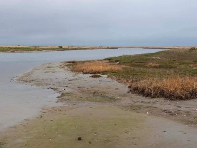 Holiday house 5 star holiday home in Læsø - Outdoor photo 15