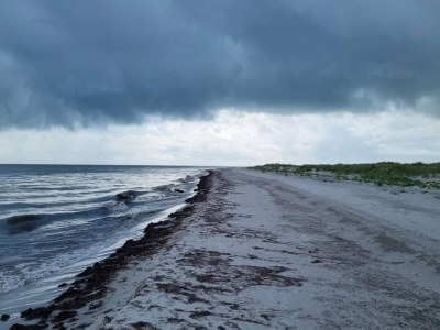 Holiday house 5 star holiday home in Læsø - Outdoor photo 19