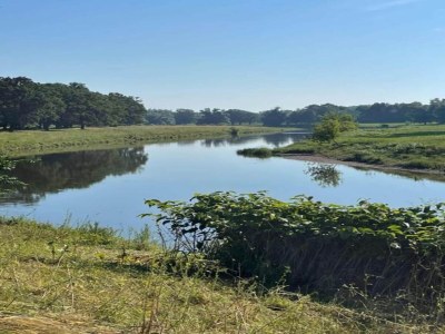 Apartment Terrassenwohnung Sachsen - Environment photo 14