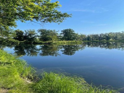 Apartment Terrassenwohnung Sachsen - Environment photo 15