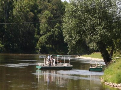 Apartment Terrassenwohnung Sachsen - Environment photo 18