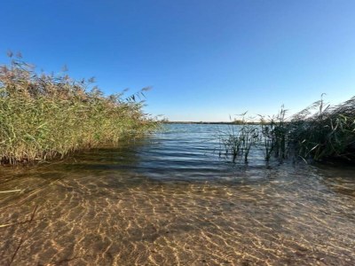 Apartment Terrassenwohnung Sachsen - Environment photo 27