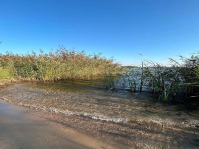 Apartment Terrassenwohnung Sachsen - Environment photo 28