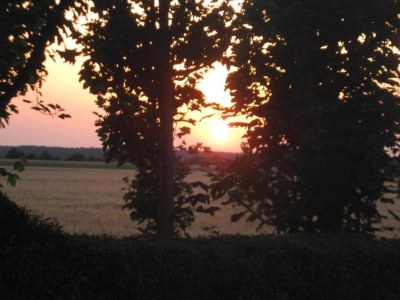 Apartment Terrassenwohnung Sachsen - Environment photo 30