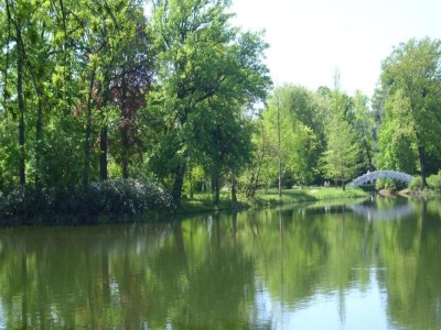 Apartment Terrassenwohnung Sachsen - Environment photo 35