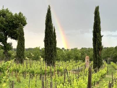 Holiday apartment Fornace - Outdoor photo 14