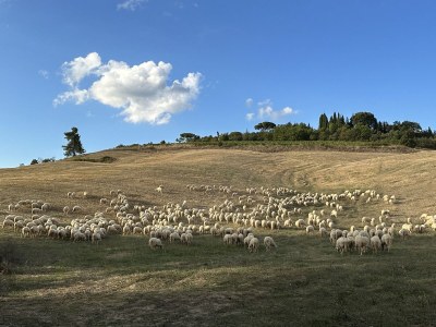Holiday apartment Fornace - Environment photo 38