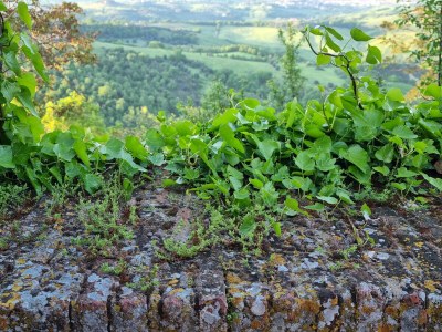 Holiday apartment Fornace - Environment photo 40
