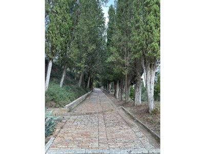 Holiday apartment Fornace - Environment photo 43