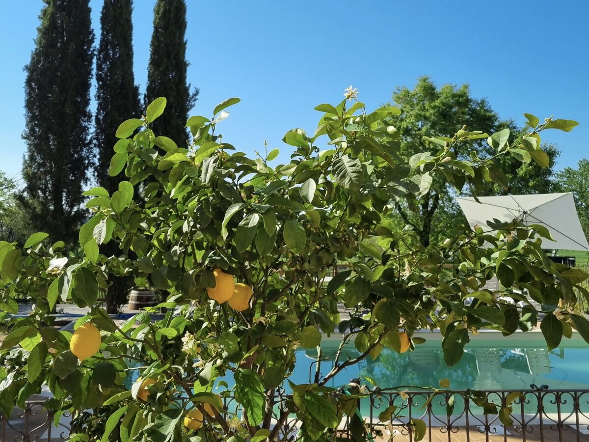 Holiday apartment Fornace del Conte - Molino - Outdoor photo 5