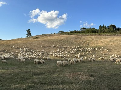 Holiday apartment Fornace del Conte - Molino - Environment photo 31
