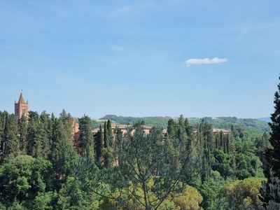 Holiday apartment Fornace del Conte - Molino - Environment photo 32