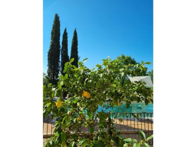 Holiday apartment Fornace del Conte - Vigneto - Outdoor photo 8