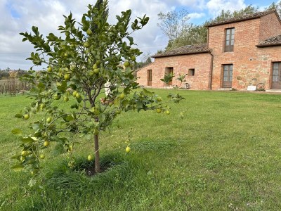 Holiday apartment Fornace del Conte - Vigneto - Outdoor photo 9