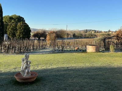 Holiday apartment Fornace del Conte - Vigneto - Outdoor photo 12