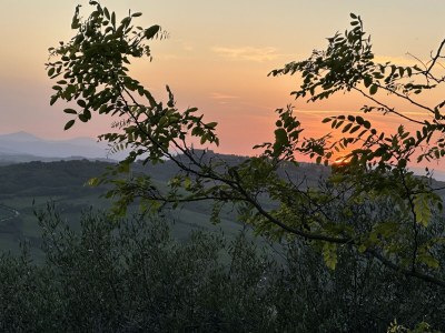 Holiday apartment Fornace del Conte - Vigneto - Outdoor photo 21