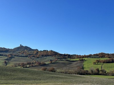 Holiday apartment Fornace del Conte - Vigneto - Environment photo 34