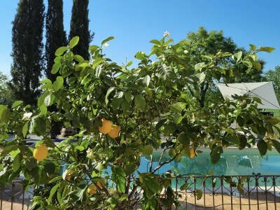 Holiday apartment Fornace del Conte - Elefantino - Outdoor photo 6