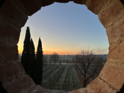 Holiday apartment Fornace del Conte - Elefantino - Outdoor photo 22