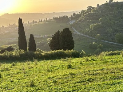 Holiday apartment Fornace del Conte - Elefantino - Environment photo 31
