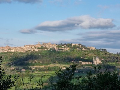 Holiday apartment Fornace del Conte - Elefantino - Environment photo 35