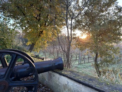 Holiday apartment Fornace del Conte - Elefantino - Environment photo 36