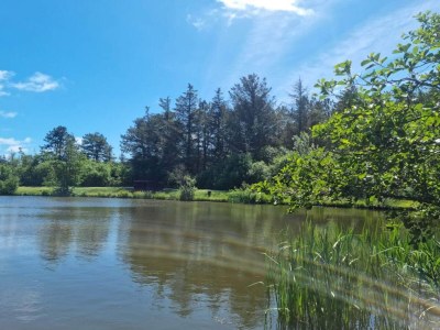 Holiday house 5 star holiday home in Løkken - Outdoor photo 9