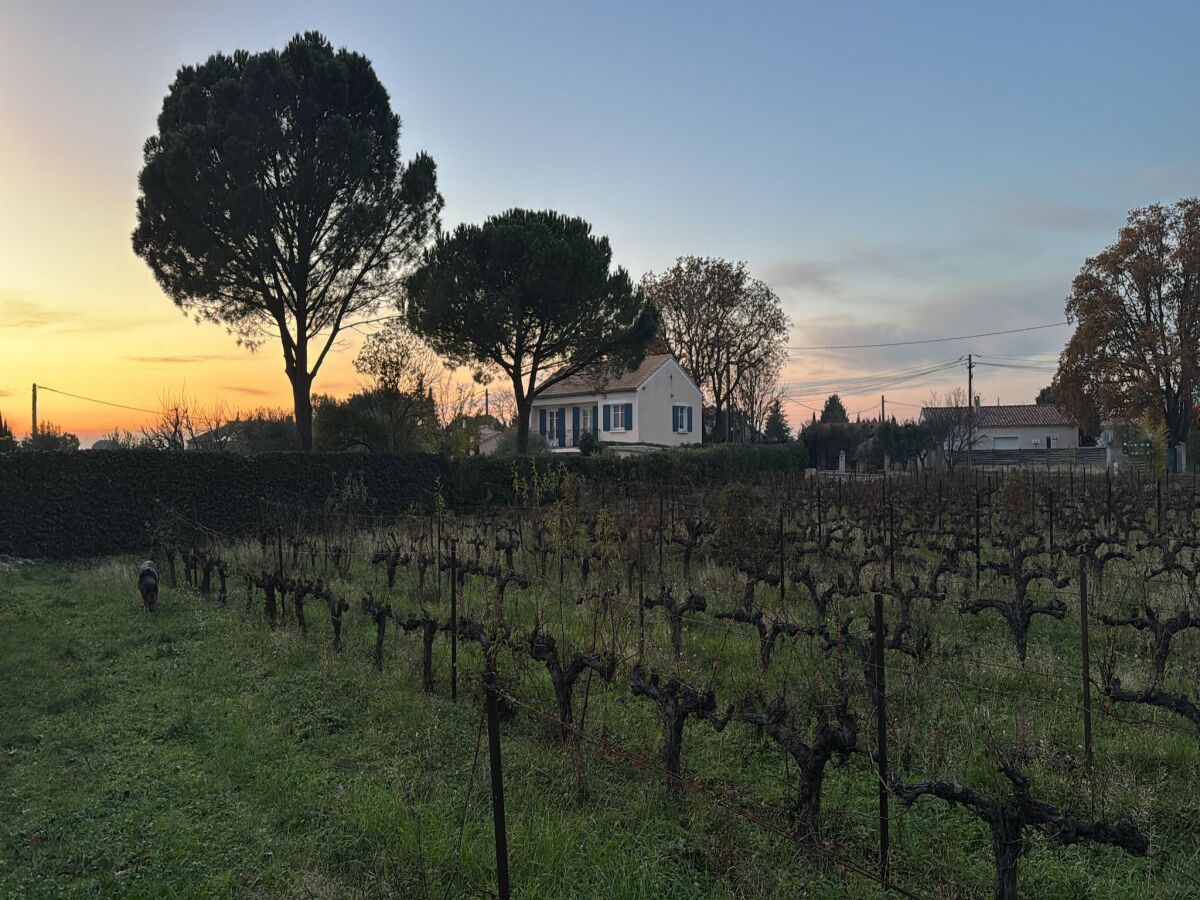 Villa Relaxing Provence Hideaway - Outdoor photo 5