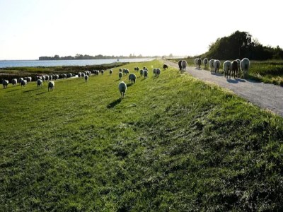 Apartment Ferienwohnung auf Fehmarn für 2 Personen - Environment photo 32