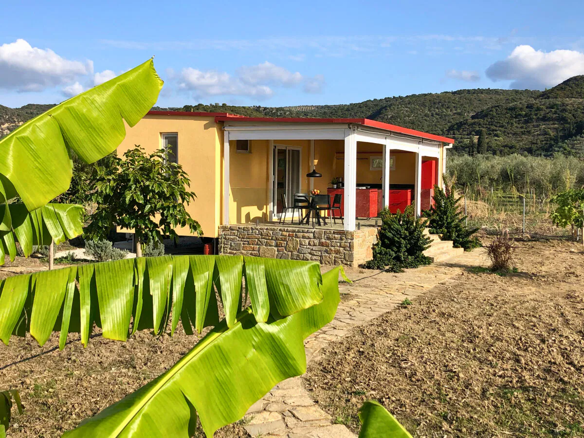 Bungalow Eco Banana Home