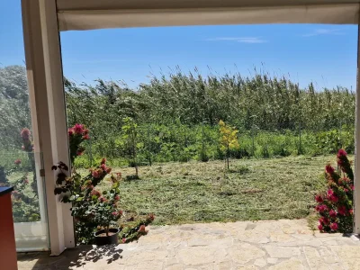 Bungalow Eco Banana Home - Outdoor photo 7