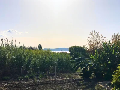 Bungalow Eco Banana Home - Outdoor photo 11