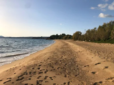 Bungalow Eco Banana Home - Environment photo 29