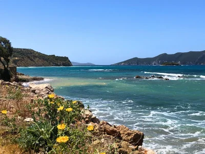 Bungalow Eco Banana Home - Environment photo 31