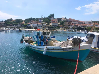 Bungalow Eco Banana Home - Environment photo 33