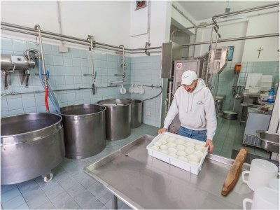 Holiday house Typical Mansion in Puglia - Environment photo 34