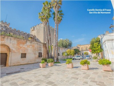 Holiday house Typical Mansion in Puglia - Environment photo 39